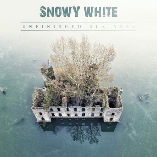 Snowy White: Unfinished Business - VINYL LP