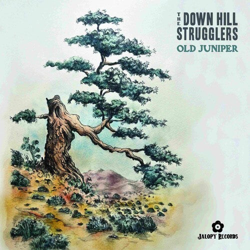 The Down Hill Strugglers: Old Juniper - VINYL LP