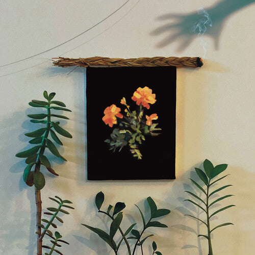 Why?: The Well I Fell Into - VINYL LP