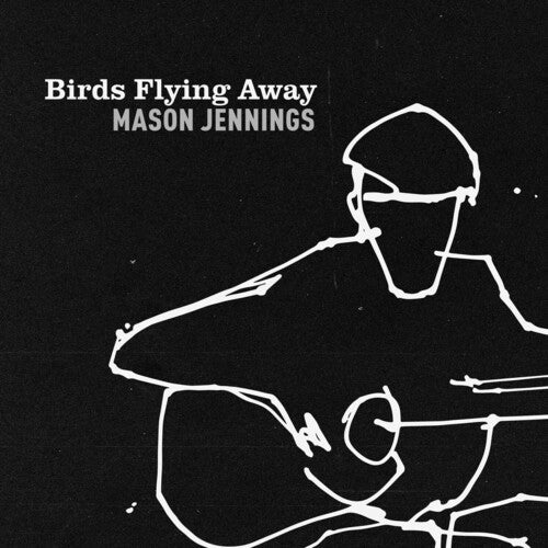 Mason Jennings: Birds Flying Away - VINYL LP