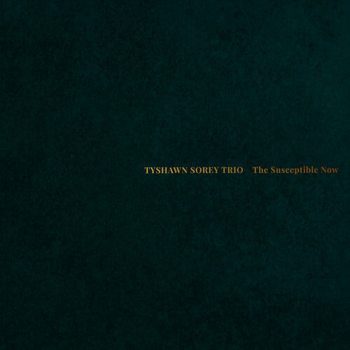 Tyshawn Sorey Trio: The Susceptible Now - VINYL LP