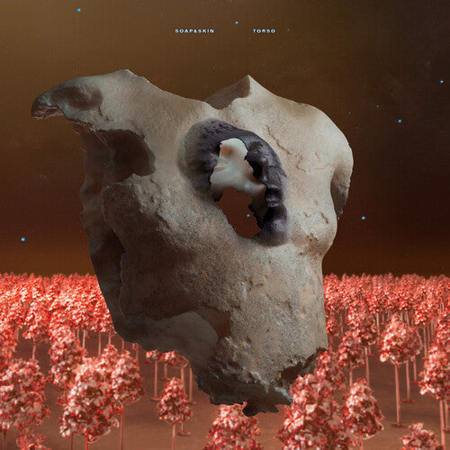 Soap&Skin: Torso - VINYL LP