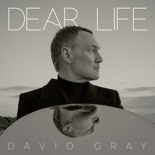 David Gray: Dear Life - VINYL LP