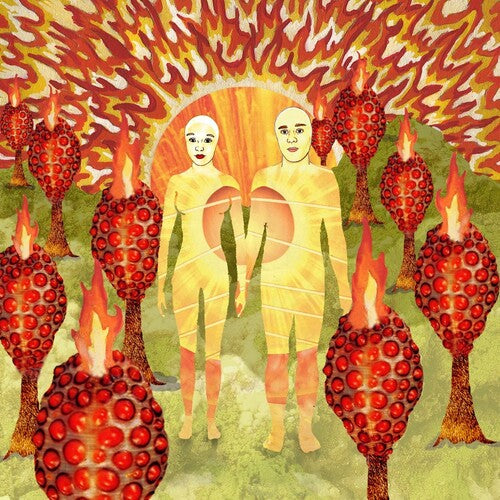 Of Montreal: The Sunlandic Twins - 20th Anniversary Edition - VINYL LP