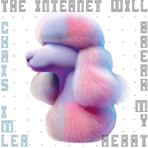 Chris Imler: The Internet Will Break My Heart - VINYL LP