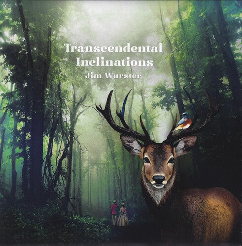 Jim Wurster: Transcendental Inclinations - VINYL LP