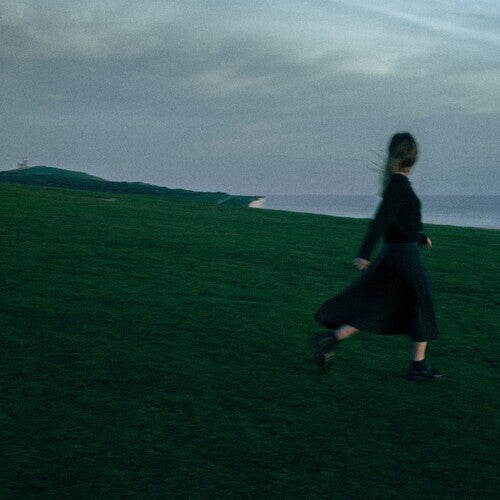 Joni: Things I Left Behind - VINYL LP