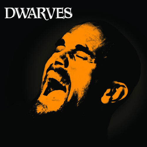 Dwarves: Rex Everything - VINYL LP