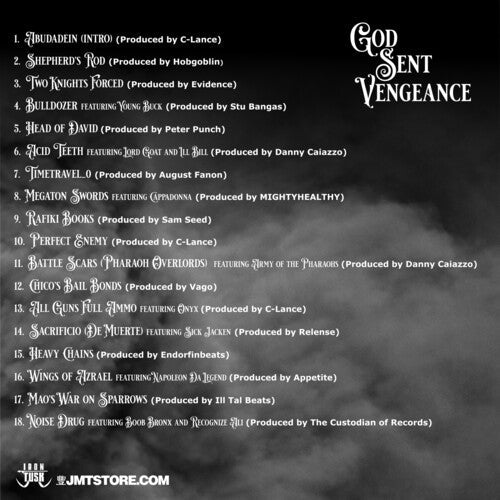 Vinnie Paz: God Sent Vengeance - VINYL LP
