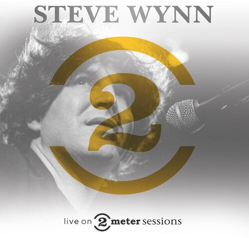 Steve Wynn: Live On 2 Meter Sessions - VINYL LP