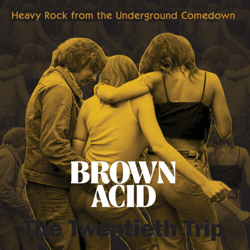 Various Artists: Brown Acid - The Twentieth Trip (Various Artists) - VINYL LP