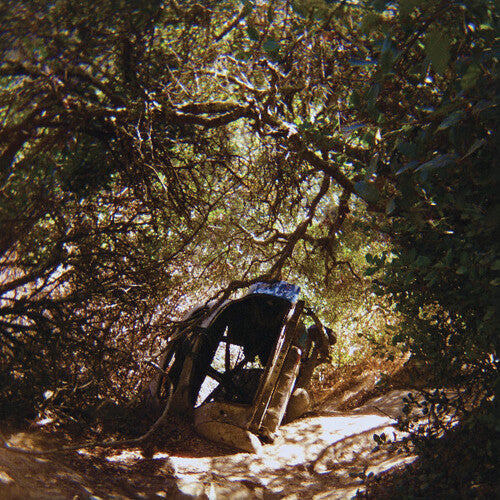 Ty Segall: Possession - VINYL LP