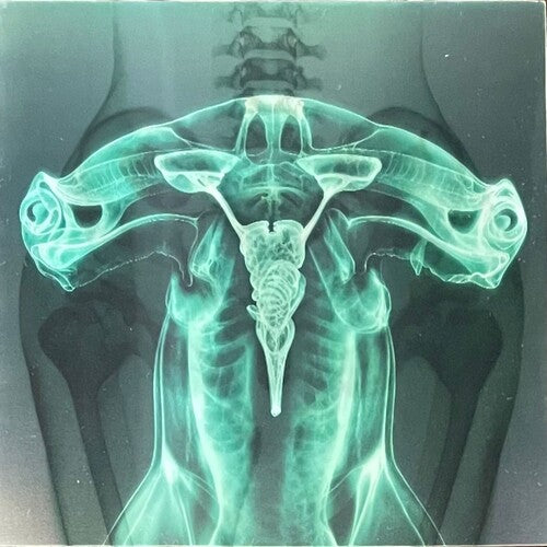 Eartheater: Shark Brain / Dolphin - Glow in the Dark - VINYL LP